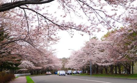 2012-5-10－厚田 014.jpg